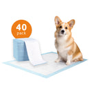 Puppy Training Pads - 40 stuks - Zindelijkheidstraining - Hondentoilet - 60 x 60 cm