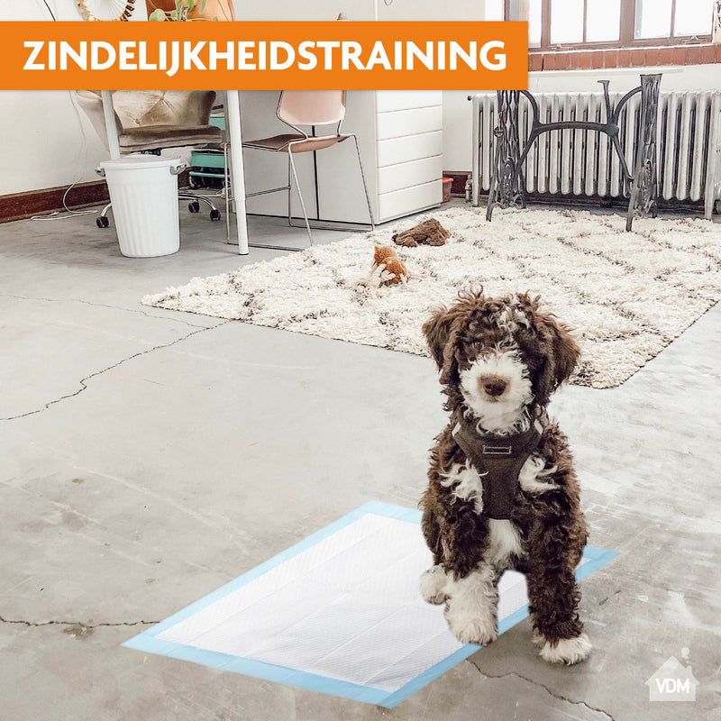 Puppy Training Pads - 100 stuks - Zindelijkheidstraining - Hondentoilet - 60 x 60 cm