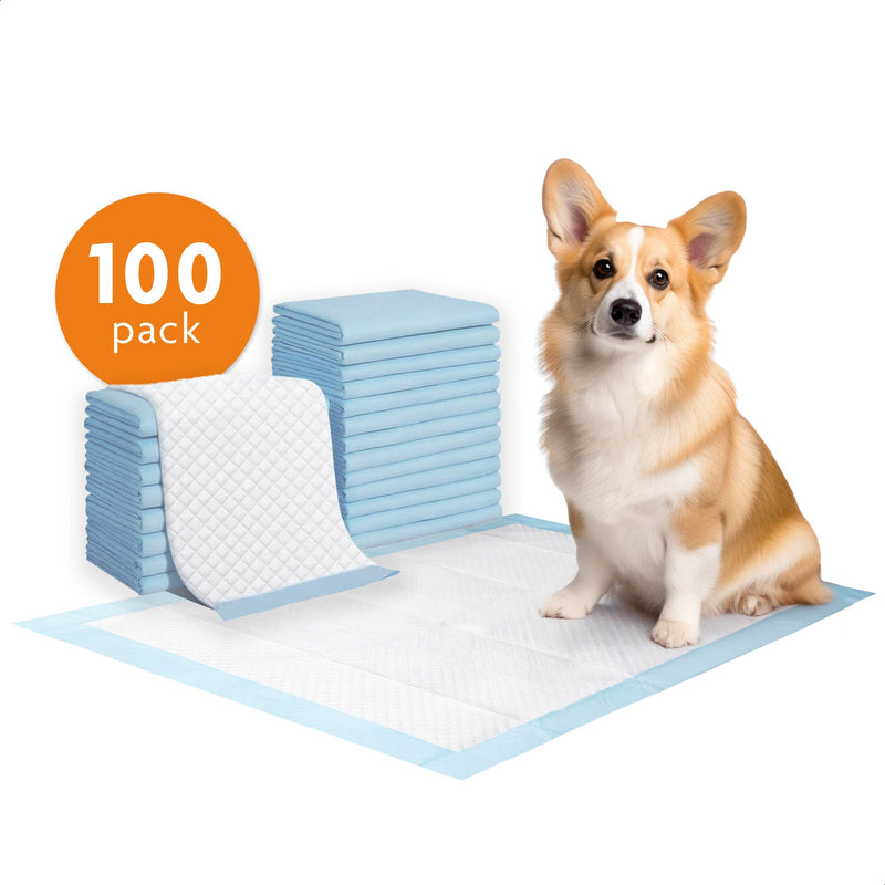 Puppy Training Pads - 100 stuks - Zindelijkheidstraining - Hondentoilet - 60 x 60 cm